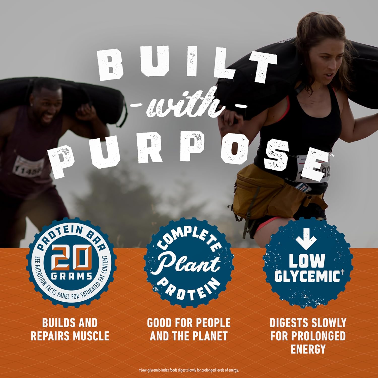 CLIF BUILDERS Protein Bar - Chocolate Peanut Butter - 20g Plant Protein - 2.4 oz (12 Bars)